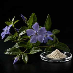 Vinpocetine, GODMODE attention ingredient
