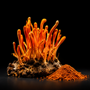 Cordyceps militaris mushroom, GODMODE performance-under-load ingredient